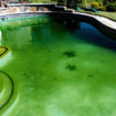 Why-Is-My-Swimming-Pool-Green