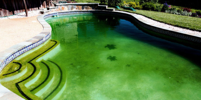 Why-Is-My-Swimming-Pool-Green